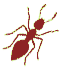 Ants and pest control Chandler AZ
